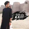 Hammad Hafeez - Allah Jaane - Single